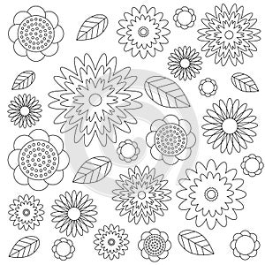 Vector adult coloring book floral pattern black and white - flowers and leaves - wildflovers meadow