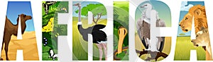 Vector Africa illustration with camel, butterflies, ostrich. cobra snake, Griffon vulture, lion and lioness