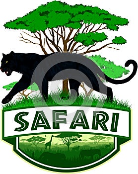 Vector african savannah safari emblem with  black panther