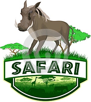 Vector african savannah safari emblem with common warthog