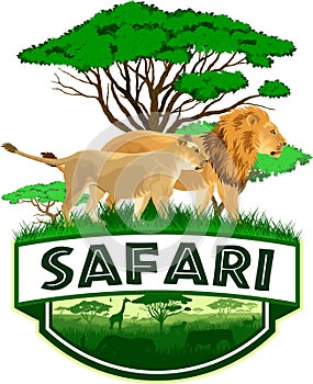 Vector african savannah safari emblem with lions