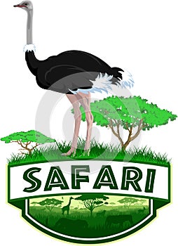 Vector african savannah safari emblem with ostrich