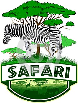 Vector african savannah safari emblem with zebra