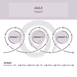Vector agile project management circles