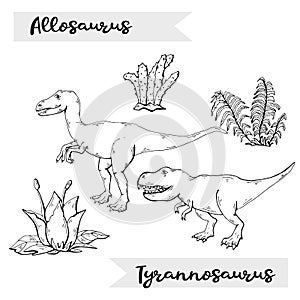 Vector Allosaurus and Tyrannosaurus with plant and stone over white.