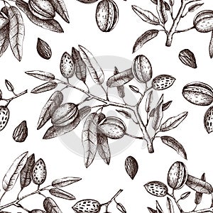 Vector Almond background. Hand drawn nut tree sketch. Botanical seamless pattern. Vintage tonic plant drawing.