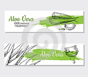 Vector aloe vera hand drawn illustrations. Aloe Vera banner, poster, label, brochure template for business promote. photo
