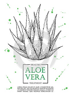 Vector aloe vera hand drawn illustrations. Aloe Vera banner, poster, label, brochure template for business promote.