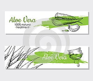 Vector aloe vera hand drawn illustrations. Aloe Vera banner, poster, label, brochure template for business promote.