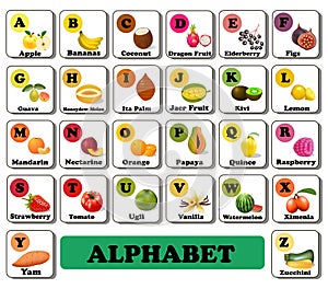 vector alphabet english fruit and vegetable berry alphabet