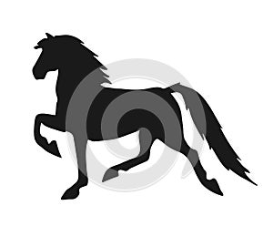 Vector American Saddlebred horse silhouette
