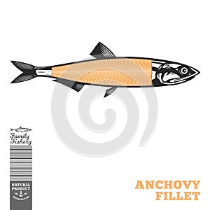 Vector anchovy illustration