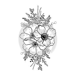 Vector anemones flower bouquet with field herbs