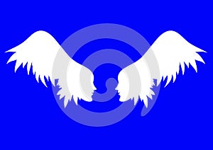 Vector angel wings.