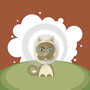 Vector angry cat on a background of white circles in the style of a flat