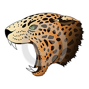 Vector angry leopard portrait. Jaguar predator head colorful isolated