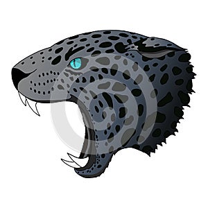 Vector angry panther, cougar portrait. Jaguar predator head colorful isolated