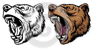 Angry roaring grizzly bear head photo