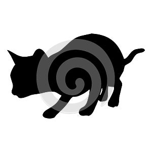 Vector animal illustration. Black silhouette of a cat on a white background.