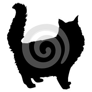 Vector animal illustration. Black silhouette of a cat on a white background.