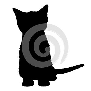 Vector animal illustration. Black silhouette of a cat on a white background.