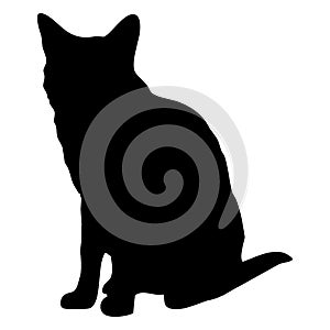 Vector animal illustration. Black silhouette of a cat on a white background.
