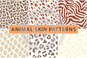 Vector animal leopard skin texture print seamless pattern collection