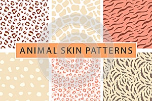 Vector animal seamless pattern set, fur skin texture print collection