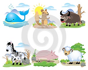 Vector animal set, Whale, ground squirrel, wild buffalo, zebra, pig, sheep,