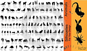 Vector Animals