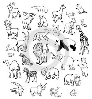 Vector Animals