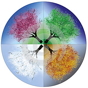 Vector animation of four seasons, tree in all forms;