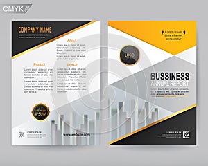 Vector annual report Business brochure, flyers design template, company profile