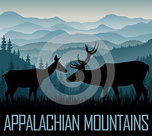 vector Appalachian Mountains with couple of white tailed deers
