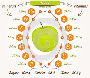 Vector apple infographics.