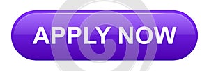 Vector apply now purple web button