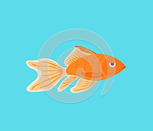 Vector aquarium golden fish silhouette illustration