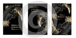 Vector arrangement with black and gold tropical leaves on dark background. Luxury exotic botanical design for cosmetics