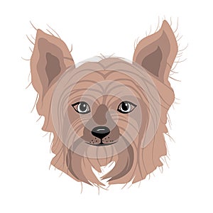 Vector art of adorable york puppies yorkshire terrier dog animal