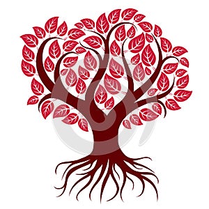 Vector art illustration of branchy tree with strong roots. Tree