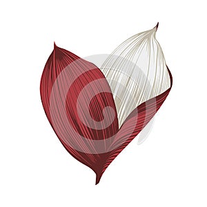 Abstract Heart Shaped Floral Elements Red White Vector Art for Decoration