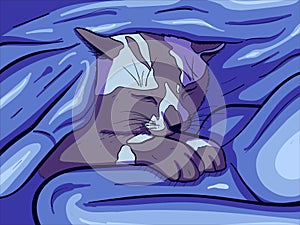 Vector art of a sleeping cat under a warn and cozy blanket. Digital drawing of a small kitten purring.