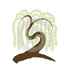 vector: artistic brushwork willow tree