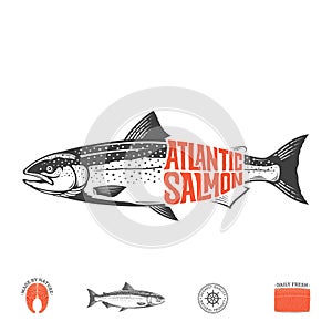 Vector atlantic salmon label