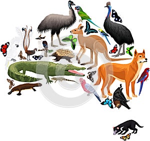 Vector Australia fauna map, flat elements. Animals, birds, reptiles, insects and reptile big set.