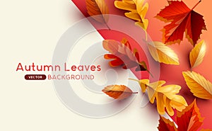 Vector Autumn Background Design With Leaves