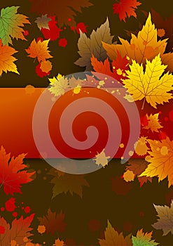 Vector autumn background design of maple leaves