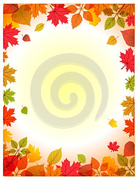 Vector autumn background design templat photo