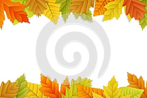 Vector autumn background on white