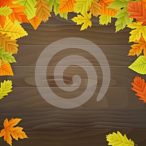 Vector autumn background on wooden board